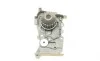 Помпа воды Renault Kangoo/Laguna/Megane/Scenic 1.4/1.6 97-08/Logan 14- (20z)(B/B)(8лоп) GRAF PA724A (фото 5)