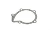 Помпа води Citroen C4/C5/C8/Jumpy/Berlingo 2.0HDi/Fiat Scudo/Ducato 1.9D/2.0JTD 98- (20z)(B/B)(7лоп) GRAF PA747 (фото 3)