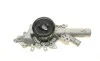 Помпа воды MB C-class (W202/S202/W203/S203)/E-class (W210/S210) 2.2/2.7CDI 97-09 (B/B) (6 лоп) GRAF PA752 (фото 6)