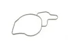 Помпа воды MB C-class (W202/S202/W203/S203)/E-class (W210/S210) 2.2/2.7CDI 97-09 (B/B) (6 лоп) GRAF PA752 (фото 8)