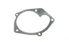 Помпа воды Renault Kangoo/Megane/Scenic/Clio/Nissan Almera/Kubistar/Micra 1.5dCi 01- (B/B) (10 лоп) GRAF PA821 (фото 2)