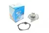 Помпа воды Renault Kangoo/Megane/Scenic/Clio/Nissan Almera/Kubistar/Micra 1.5dCi 01- (B/B) (10 лоп) GRAF PA821 (фото 5)