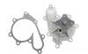 Помпа воды Nissan X-Trail/Almera/Primera 2.2dCi/Di 00- (R/B) (8 лоп) GRAF PA823 (фото 1)