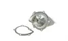Помпа воды Citroen C4-C8/Jumpy 2.0-2.2HDi/Fiat Scudo 2.0D/Ford Focus 2.0TDCI 01- (19z)(B/B)(8лоп) GRAF PA861 (фото 11)