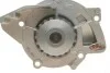 Помпа воды Citroen C4-C8/Jumpy 2.0-2.2HDi/Fiat Scudo 2.0D/Ford Focus 2.0TDCI 01- (19z)(B/B)(8лоп) GRAF PA861 (фото 3)
