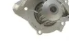 Помпа воды Citroen C4-C8/Jumpy 2.0-2.2HDi/Fiat Scudo 2.0D/Ford Focus 2.0TDCI 01- (19z)(B/B)(8лоп) GRAF PA861 (фото 5)