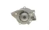 Помпа воды Citroen C4-C8/Jumpy 2.0-2.2HDi/Fiat Scudo 2.0D/Ford Focus 2.0TDCI 01- (19z)(B/B)(8лоп) GRAF PA861 (фото 6)