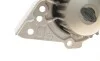 Помпа води Fiat Scudo/Ducato/Peugeot/Citroen/Hyundai 1.8-1.9D/TD 94-06 (20z)(B/B)(7 лоп)(d імп=71мм) GRAF PA911 (фото 4)