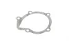 Помпа води Fiat Scudo/Ducato/Peugeot/Citroen/Hyundai 1.8-1.9D/TD 94-06 (20z)(B/B)(7 лоп)(d імп=71мм) GRAF PA911 (фото 7)