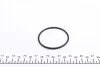 Помпа води Citroen C2/C3/C4/Peugeot 206/307 1.4 16V 03- (18z) (B/B) (6 лоп.) GRAF PA941 (фото 5)