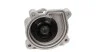 Помпа води Audi A3/Seat Ibiza/Skoda Fabia/Octavia/VW Golf/Passat 1.4/1.6/1.6FSI 03- (B/B) (7 лоп) GRAF PA954 (фото 3)