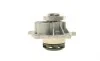 Помпа воды Opel Astra/Vectra/Zafira/Insignia/Corsa 1.6/1.8 02-/Chevrolet Aveo 1.4/1.6 08-(B/B)(7лоп) GRAF PA959 (фото 3)