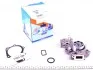 Помпа воды Renault Clio II/III/IV/Logan II 1.2/1.2 16V 00-/Kangoo 1.0 03- (Ext.) (6 лоп) GRAF PA983 (фото 1)