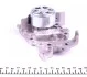 Помпа воды Renault Clio II/III/IV/Logan II 1.2/1.2 16V 00-/Kangoo 1.0 03- (Ext.) (6 лоп) GRAF PA983 (фото 6)
