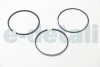 Кольца поршневые BMW 3-5/7/X3-X6 3.0 D 02- (84mm/STD) HASTINGS PISTON RING 2D7374 (фото 2)