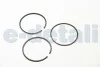 Кольца поршневые BERLINGO/SCUDO/PARTNER 1.6 05- (75mm/STD) HASTINGS PISTON RING 2D7431S (фото 2)