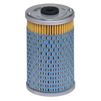(HENGST) HENGST FILTER E135H D173
