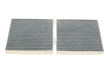 Фільтр салону BMW X3 (F25) 10-/X4 (F26) 14-18 (к-кт 2шт.) (вугільний) HENGST FILTER E2992LC-2