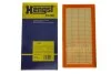Фильтр воздушный BMW X5 (E53) 3.0i 00-06/ 7 (E38) 750i 94-01 (M73/M54) HENGST FILTER E409L (фото 4)
