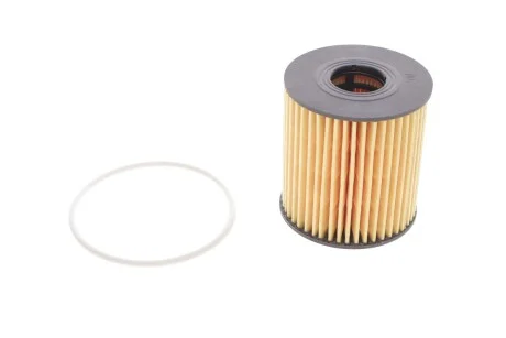 Фильтр масляный Ford Transit/Citroen Jumper 2.2HDI/2.4TDCi 06-/Peugeot 2.0HDI 03- HENGST FILTER E44H D110