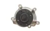 Помпа воды MB Vaneo 1.6/1.7 CDI/1.9 02-05 HEPU P141 (фото 4)