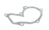 Помпа воды Ford Fiesta/Focus 1.0-1.6 96-/Volvo S40/V50 1.6 05-12 HEPU P235 (фото 2)