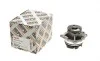Помпа воды Ford Focus I/Mondeo II/Transit/Tourneo Connect 1.6/1.8/2.0 16V 02-13 HEPU P236 (фото 1)