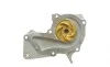 Помпа воды Ford Focus 05-/Fiesta 02-/Connect 1.4/1.6 14- HEPU P255 (фото 2)