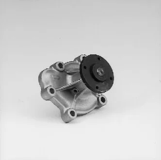 Насос водяний HEPU P313