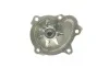 Помпа воды Opel Combo 1.7CDTI/DTI 16V 01- HEPU P326 (фото 10)