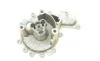 Помпа воды Fiat Ducato 2.2D/Citroen Jumper 2.2HDI/Ford Transit 2.2TDCi 06- HEPU P811 (фото 7)