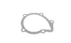 Помпа воды Fiat Scudo/Ducato/Peugeot Boxer 1.9TD 94-02 HEPU P836 (фото 8)