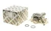 Помпа води Citroen C4/C5/C8/Jumpy/Fiat Scudo/Peugeot 206/407 2.0 16V 00- (з корпусом) (d=65mm) HEPU P897 (фото 1)