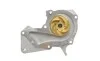 Комплект ГРМ + помпа Ford Mondeo/C-Max/Focus 1.5/1.6 EcoBoost 10-(117x22)(помпа P255) HEPU PK02551 (фото 5)