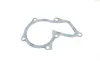 Комплект ГРМ + помпа Ford Mondeo/C-Max/Focus 1.5/1.6 EcoBoost 10-(117x22)(помпа P255) HEPU PK02551 (фото 8)