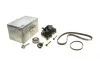 Комплект ГРМ + помпа VW Caddy IV/Passat/Golf 1.4 TSi/TGI 15- (10x87z)(+ ремень помпы) HEPU PK06870