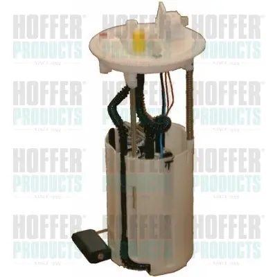 Паливний насос в зборі HOFFER 7506597 (фото 1)