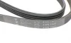 Ремінь генератора Suzuki Grand Vitara 2.5 V6/2.7 4x4 98-03 HUTCHINSON 1025 K 4 (фото 4)