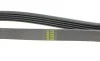 Ремень генератора Mazda 323/626/ Opel Astra G/Vectra B/C 2.0/2.2 00-08 HUTCHINSON 1030K5 (фото 4)