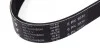 Ремень генератора Fiat Bravo 1.9TD/JTD 96-01/1.6 D Multijet 07- (6PK1036) HUTCHINSON 1036 K 6 (фото 4)