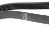 Ремінь генератора VW Golf III/Passat/T4 1.9D/TD (TP) HUTCHINSON 1045 K 6 (фото 3)