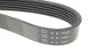 Ремінь генератора Ford Mondeo 1.5 18- (6PK1061) HUTCHINSON 1061 SK 6 (фото 4)