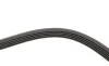 Ремінь генератора Renault Kangoo 1.4i 98-/ 1.6i 02- (5PK1110) HUTCHINSON 1110 K 5 (фото 4)