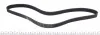 Ремень генератора Renault Master/Opel Movano/Renault Kangoo 1.9dCi/dTi 00- (6PK1130) HUTCHINSON 1130 K 6 (фото 2)