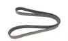 Ремень генератора Citroen Berlingo/Fiat Ducato 1.8/1.9D /Citroen Jumper 3.0HDI 96- (6PK1160) HUTCHINSON 1160 K 6 (фото 1)