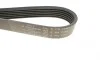 Ремень генератора Citroen Berlingo/Fiat Ducato 1.8/1.9D /Citroen Jumper 3.0HDI 96- (6PK1160) HUTCHINSON 1160 K 6 (фото 4)