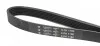 Ремень генератора Fiat Doblo 1.3D Multijet/Ducato 2.0JTD 01-/VW Caddy 1.4/1.6 96- (6PK1180) HUTCHINSON 1180 K 6 (фото 3)