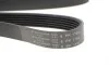 Ремень генератора Citroen Jumper/Fiat Ducato/Peugeot Boxer 2.0/2.2HDi/JTD 02- (6PK1182) HUTCHINSON 1182 K 6 (фото 2)