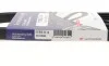 Ремень генератора Renault Rapid 1.4i 91-98 (4PK1183) HUTCHINSON 1183 K 4 (фото 6)
