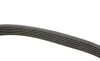 Ремінь генератора Citroen Jumpy /Fiat Scudo/Peugeot Expert 2.0 i/ Renault Kangoo 1.9D 97- (6PK1190) HUTCHINSON 1190 K 6 (фото 2)